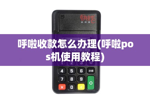 呼啦收款怎么办理(呼啦pos机使用教程)