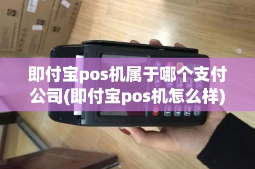 即付宝pos机属于哪个支付公司(即付宝pos机怎么样)