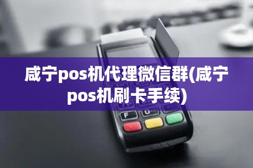 咸宁pos机代理微信群(咸宁pos机刷卡手续)