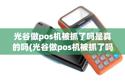 光谷做pos机被抓了吗是真的吗(光谷做pos机被抓了吗)