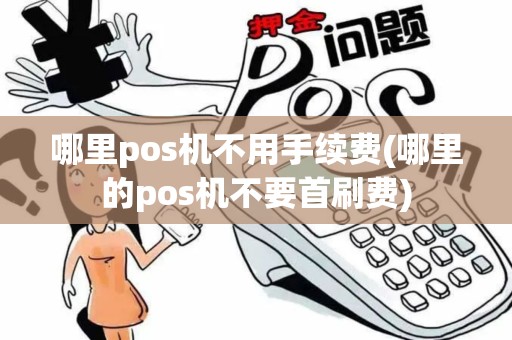 哪里pos机不用手续费(哪里的pos机不要首刷费)