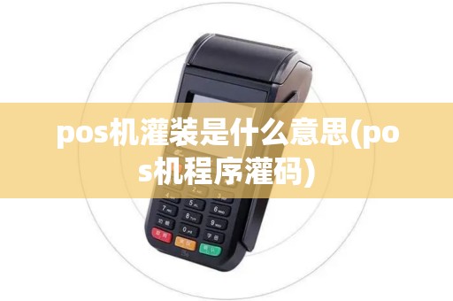 pos机灌装是什么意思(pos机程序灌码)