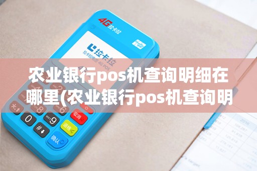 农业银行pos机查询明细在哪里(农业银行pos机查询明细)
