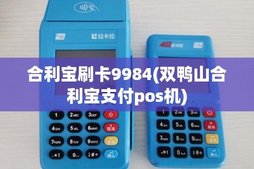 合利宝刷卡9984(双鸭山合利宝支付pos机)