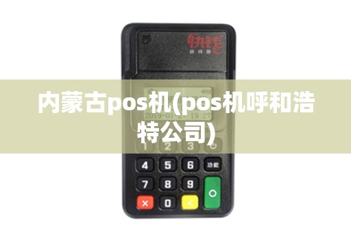 内蒙古pos机(pos机呼和浩特公司)
