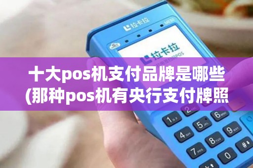 十大pos机支付品牌是哪些(那种pos机有央行支付牌照)