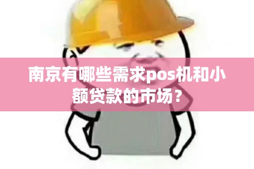 南京有哪些需求pos机和小额贷款的市场？