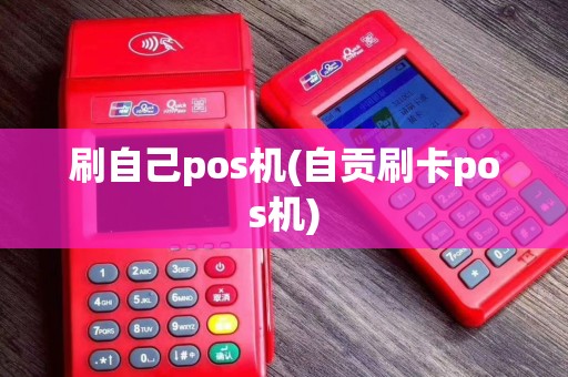 刷自己pos机(自贡刷卡pos机)