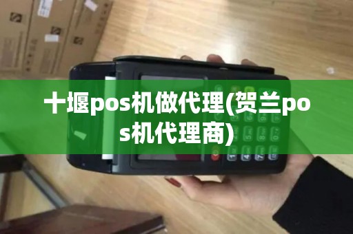 十堰pos机做代理(贺兰pos机代理商)
