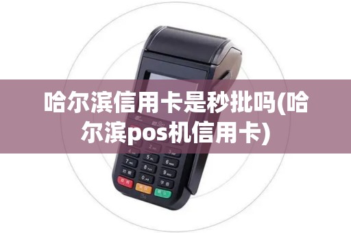 哈尔滨信用卡是秒批吗(哈尔滨pos机信用卡)
