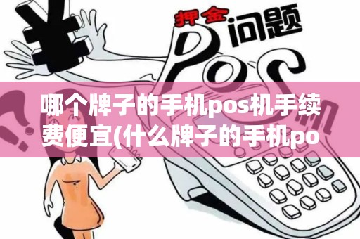 哪个牌子的手机pos机手续费便宜(什么牌子的手机pos机号)