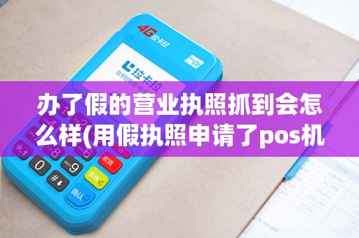 办了假的营业执照抓到会怎么样(用假执照申请了pos机)