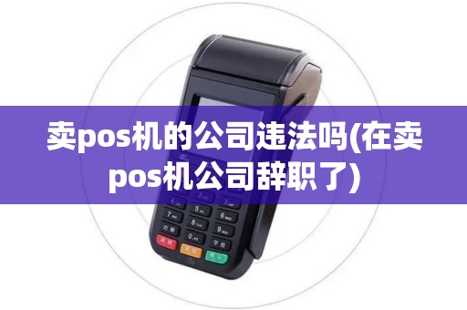 卖pos机的公司违法吗(在卖pos机公司辞职了)