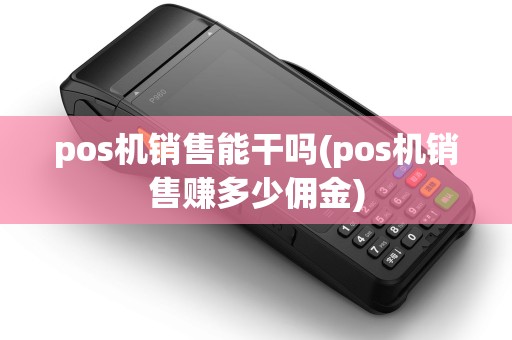 pos机销售能干吗(pos机销售赚多少佣金)