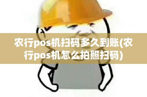 农行pos机扫码多久到账(农行pos机怎么拍照扫码)