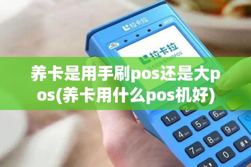 养卡是用手刷pos还是大pos(养卡用什么pos机好)