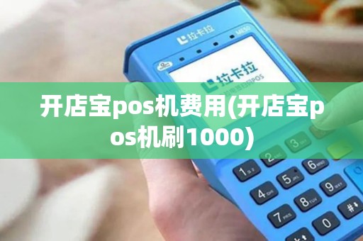 开店宝pos机费用(开店宝pos机刷1000)