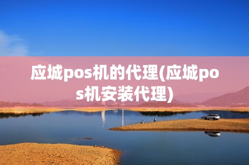 应城pos机的代理(应城pos机安装代理)