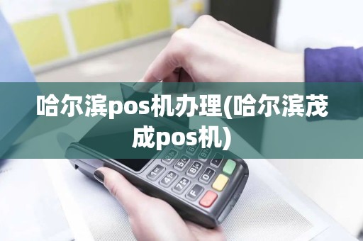 哈尔滨pos机办理(哈尔滨茂成pos机)