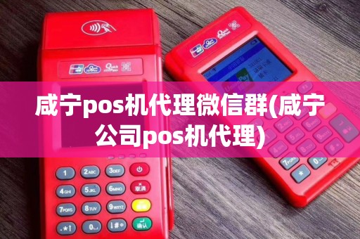 咸宁pos机代理微信群(咸宁公司pos机代理)