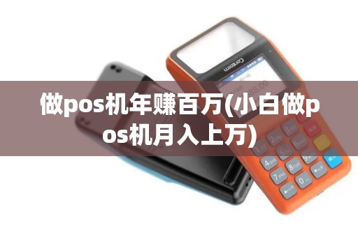 做pos机年赚百万(小白做pos机月入上万)