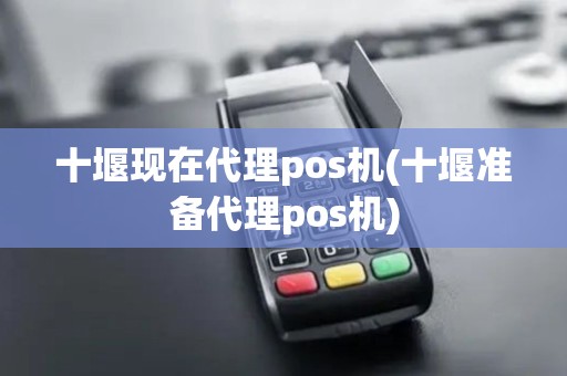 十堰现在代理pos机(十堰准备代理pos机)