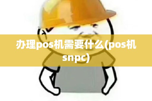 办理pos机需要什么(pos机snpc)