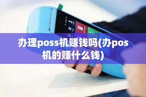 办理poss机赚钱吗(办pos机的赚什么钱)