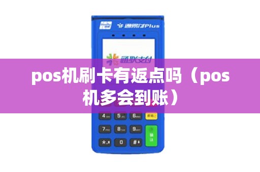pos机刷卡有返点吗（pos机多会到账）