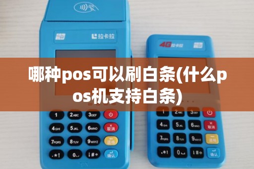 哪种pos可以刷白条(什么pos机支持白条)