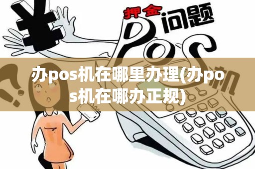 办pos机在哪里办理(办pos机在哪办正规)