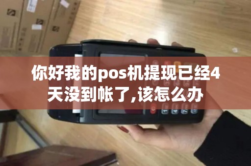 你好我的pos机提现已经4天没到帐了,该怎么办