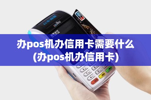 办pos机办信用卡需要什么(办pos机办信用卡)