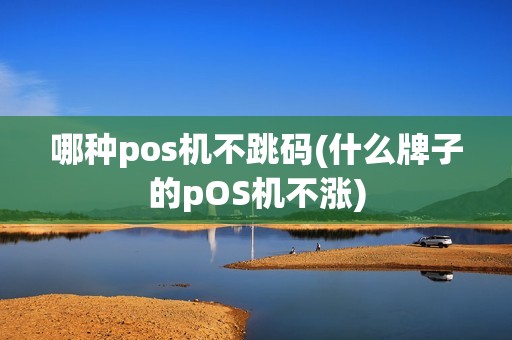 哪种pos机不跳码(什么牌子的pOS机不涨)