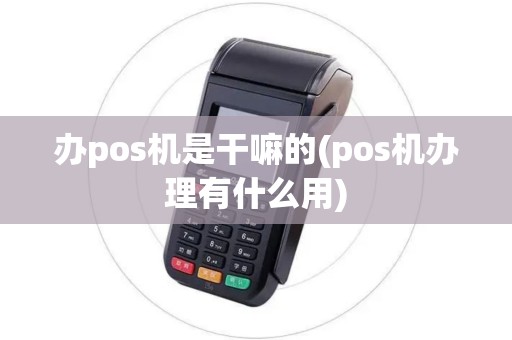 办pos机是干嘛的(pos机办理有什么用)