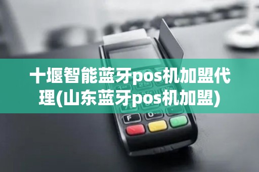 十堰智能蓝牙pos机加盟代理(山东蓝牙pos机加盟)