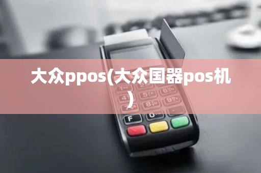 大众ppos(大众国器pos机)