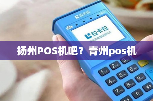 扬州POS机吧？青州pos机
