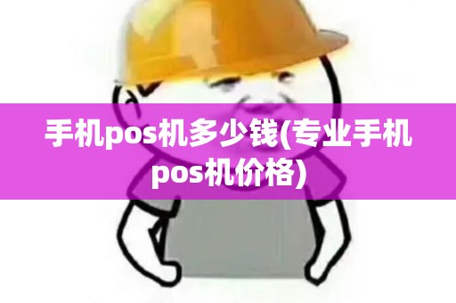 手机pos机多少钱(专业手机pos机价格)
