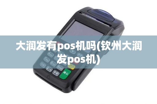 大润发有pos机吗(钦州大润发pos机)