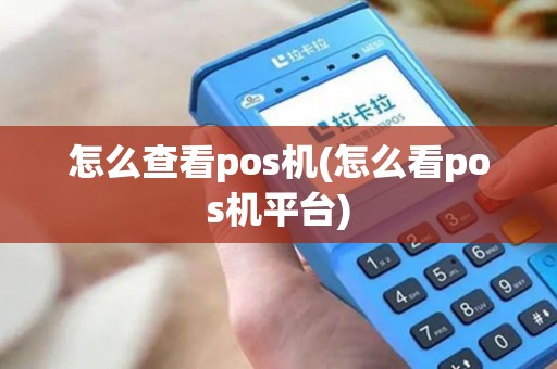 怎么查看pos机(怎么看pos机平台)