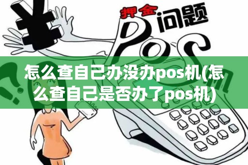 怎么查自己办没办pos机(怎么查自己是否办了pos机)