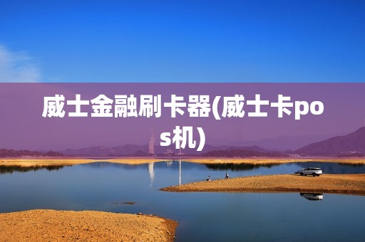 威士金融刷卡器(威士卡pos机)