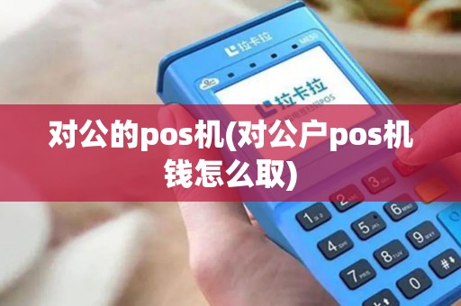 对公的pos机(对公户pos机钱怎么取)