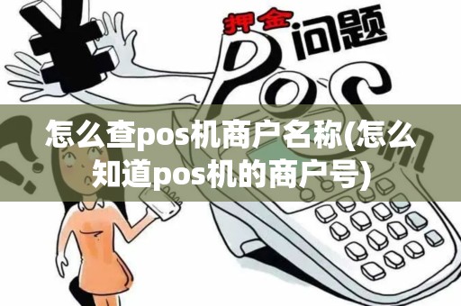 怎么查pos机商户名称(怎么知道pos机的商户号)