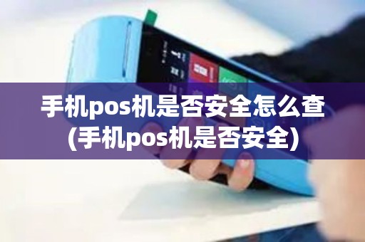 手机pos机是否安全怎么查(手机pos机是否安全)