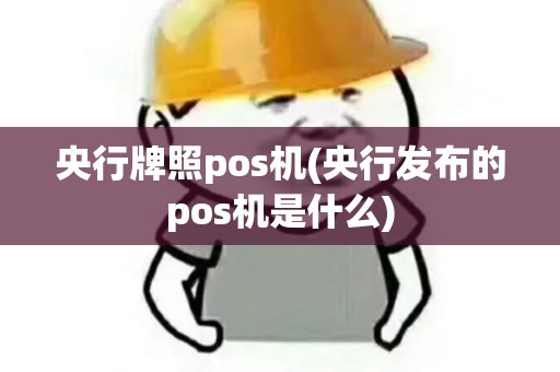 央行牌照pos机(央行发布的pos机是什么)