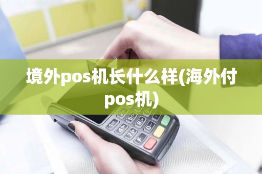 境外pos机长什么样(海外付pos机)