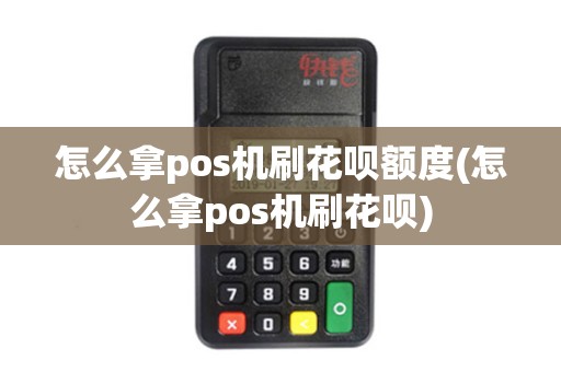 怎么拿pos机刷花呗额度(怎么拿pos机刷花呗)
