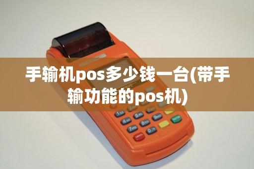 手输机pos多少钱一台(带手输功能的pos机)